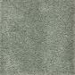 Mohawk Pleasant Touch Carpet in Mystic Jade, , large