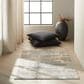 Nourison Rush CK951 2"2" x 3"9" Grey and Beige Area Rug, , large