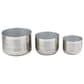 Maple and Jade Planter in Brushed Silver (Set of 3), , large