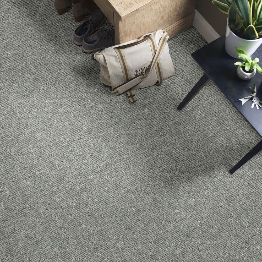 Anderson Tuftex Loredo Carpet in Swept Away, , large