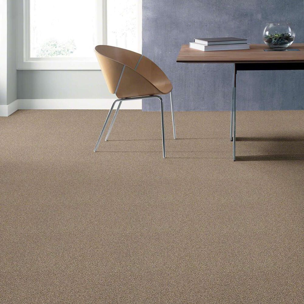 Anderson Tuftex Acadia Park Carpet in Mushroom, , large