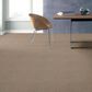 Anderson Tuftex Acadia Park Carpet in Mushroom, , large