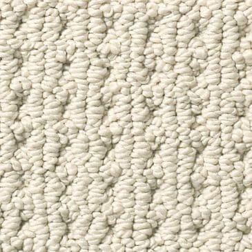 Anderson Tuftex San Lucas Carpet in Fleece, , large
