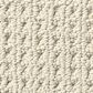 Anderson Tuftex San Lucas Carpet in Fleece, , large