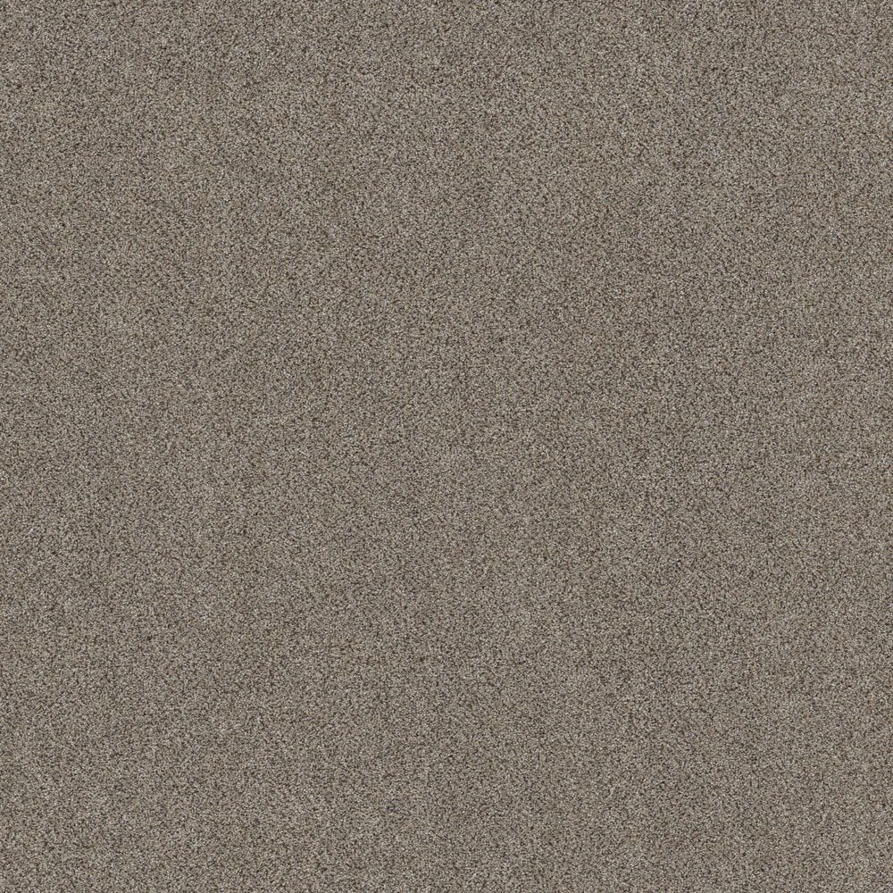 Shaw Game Changing III Carpet in Cliffside, , large