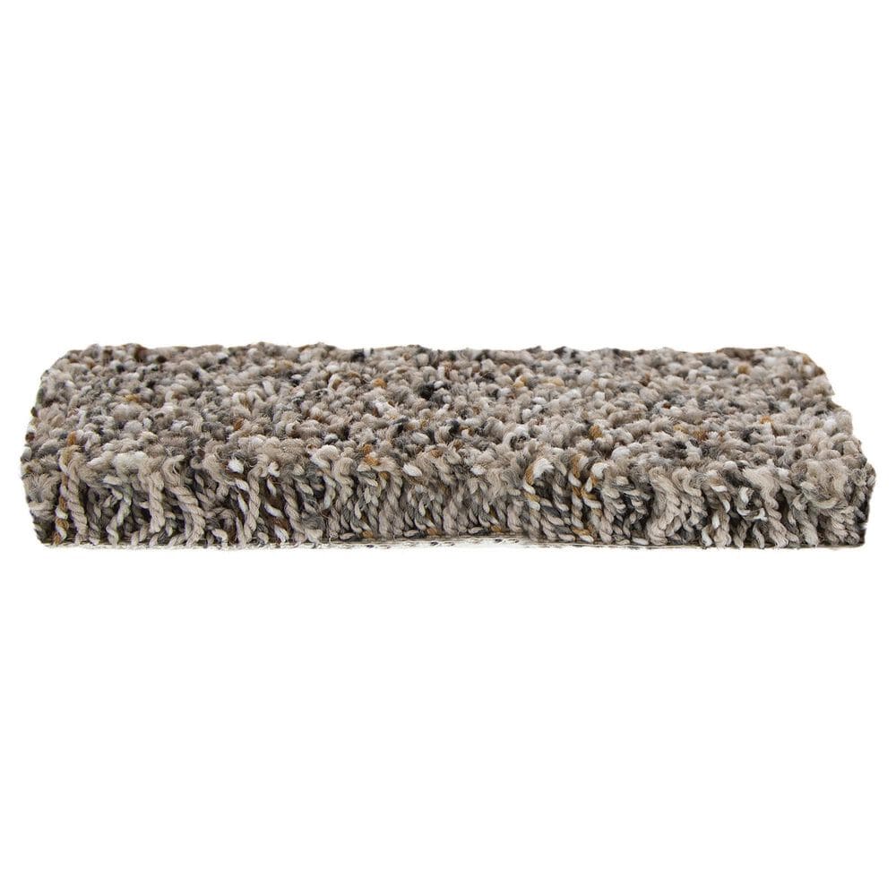 Mohawk Refined Abundance Carpet in Raleigh, , large