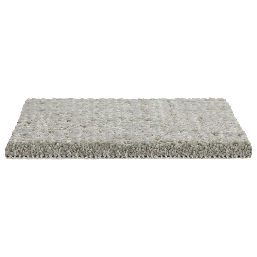 Mohawk Natural Texture Carpet in Weathered Wood, , large