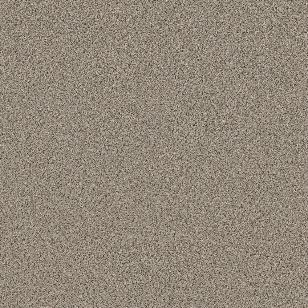 Shaw Abilene I Carpet in Acreage, , large