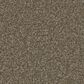 Phenix Illusion Gold Carpet in Astonishing, , large