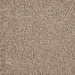 Mohawk Luxuriant Space Carpet in Scroll, , large