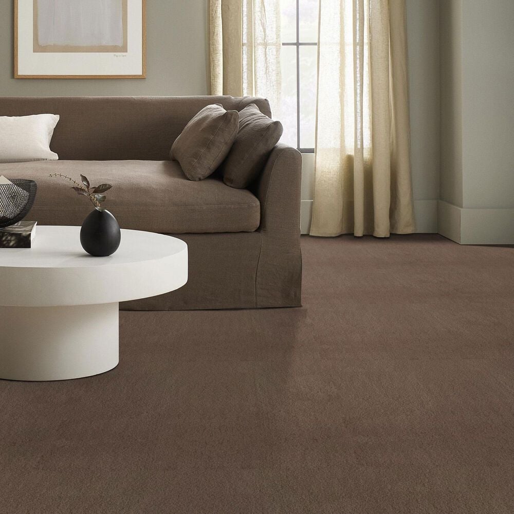 Anderson Tuftex Luxe Feel I Carpet in Pebble Path, , large