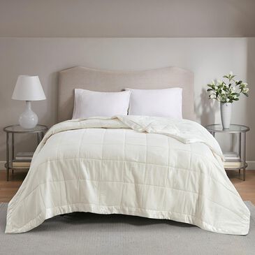Hampton Park Cambria Twin Down Alternative Blanket in Ivory, , large