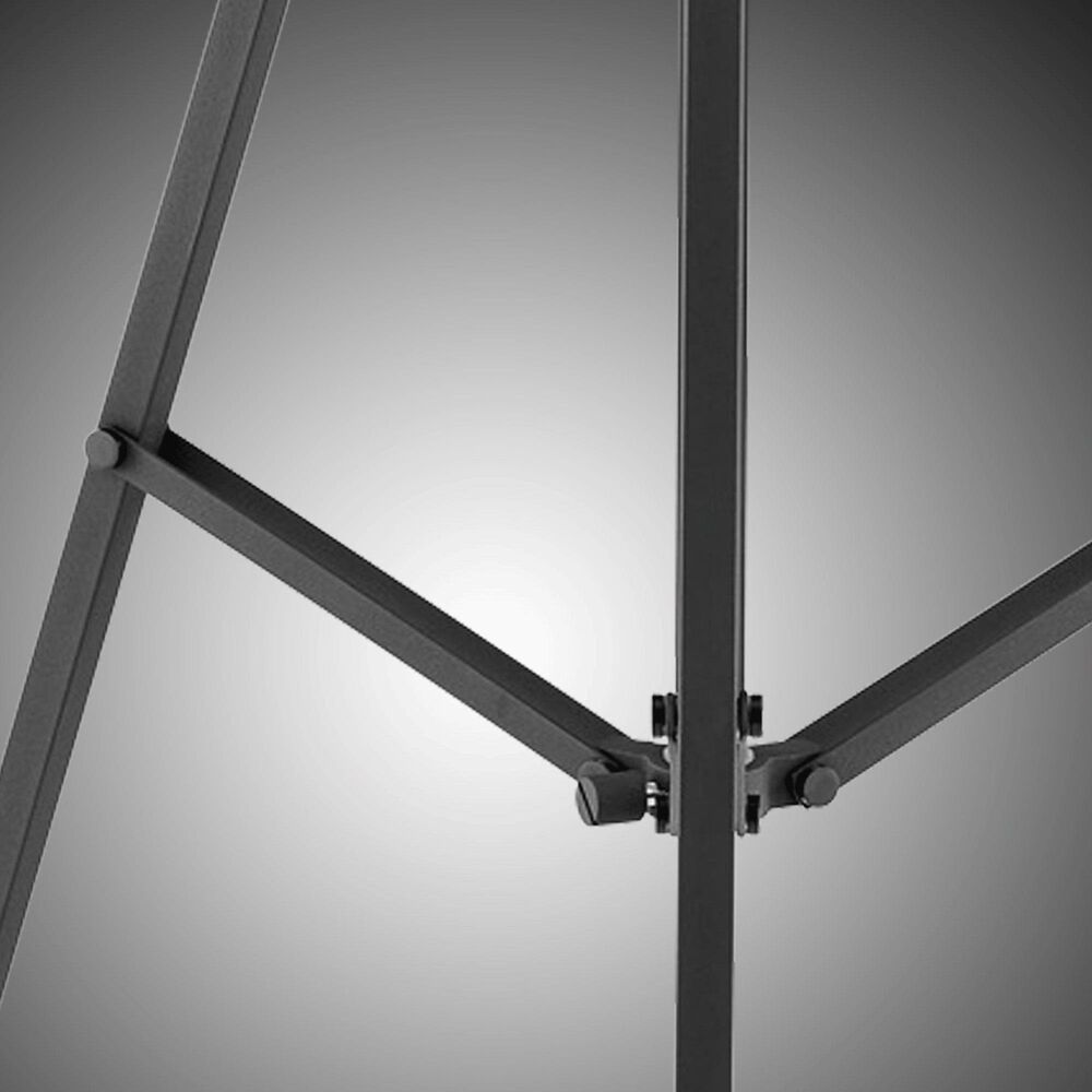 Lite Source Gothard Floor Lamp in Black, , large