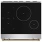 Thor Kitchen Gordon Ramsay 4.8 Cu. Ft. Professional Induction Range with Bronze Handle Kit in Stainless Steel, , large