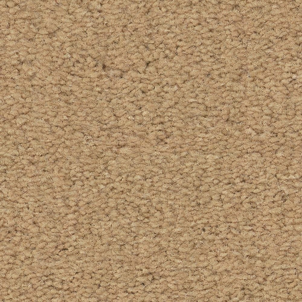 Anderson Tuftex Finery Carpet in Lamp Light, , large