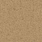 Anderson Tuftex Finery Carpet in Lamp Light, , large