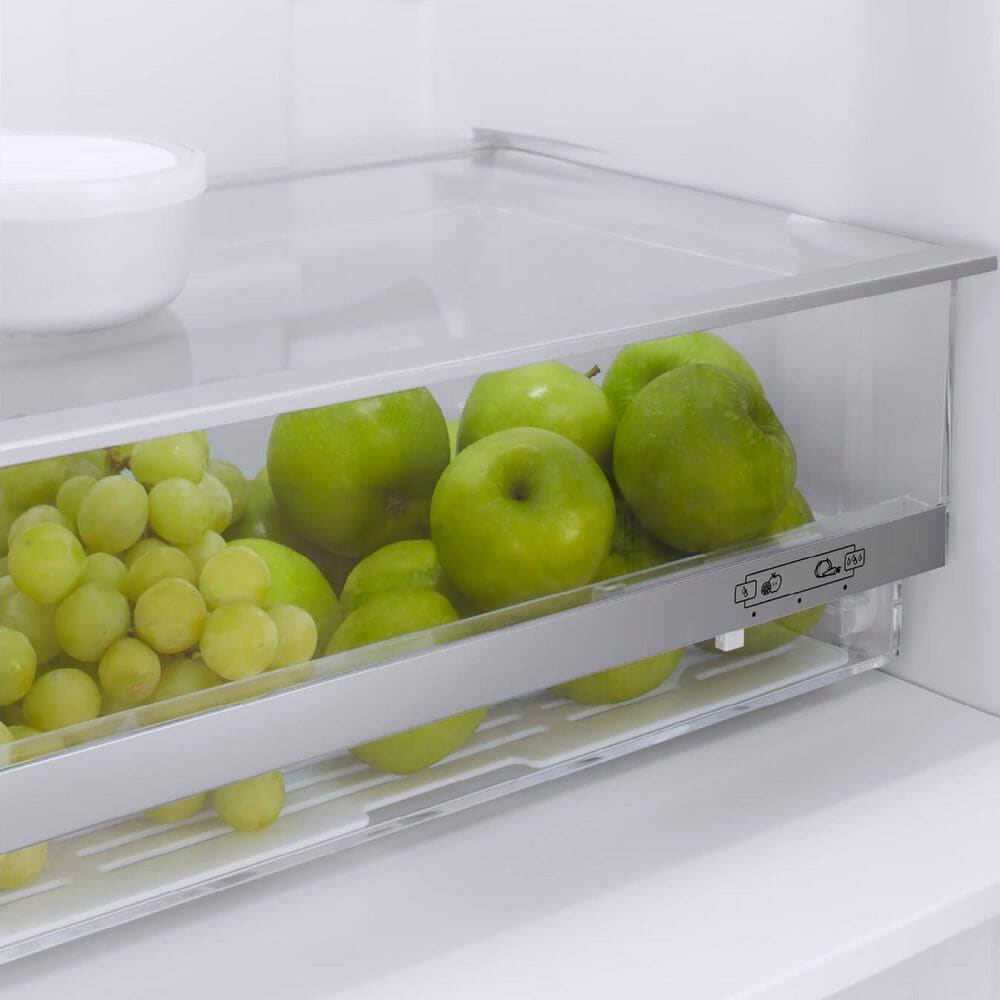 Fisher &amp; Paykel 24&quot; Bottom Freezer Refrigerator with Frost Free in Stainless Steel, , large