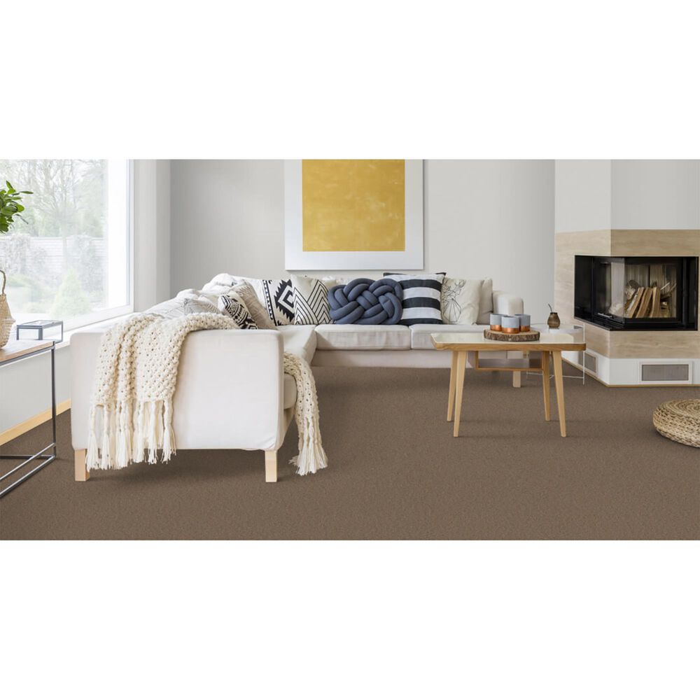 Dixie Home Winding Creek Premier Carpet in Teakwood, , large