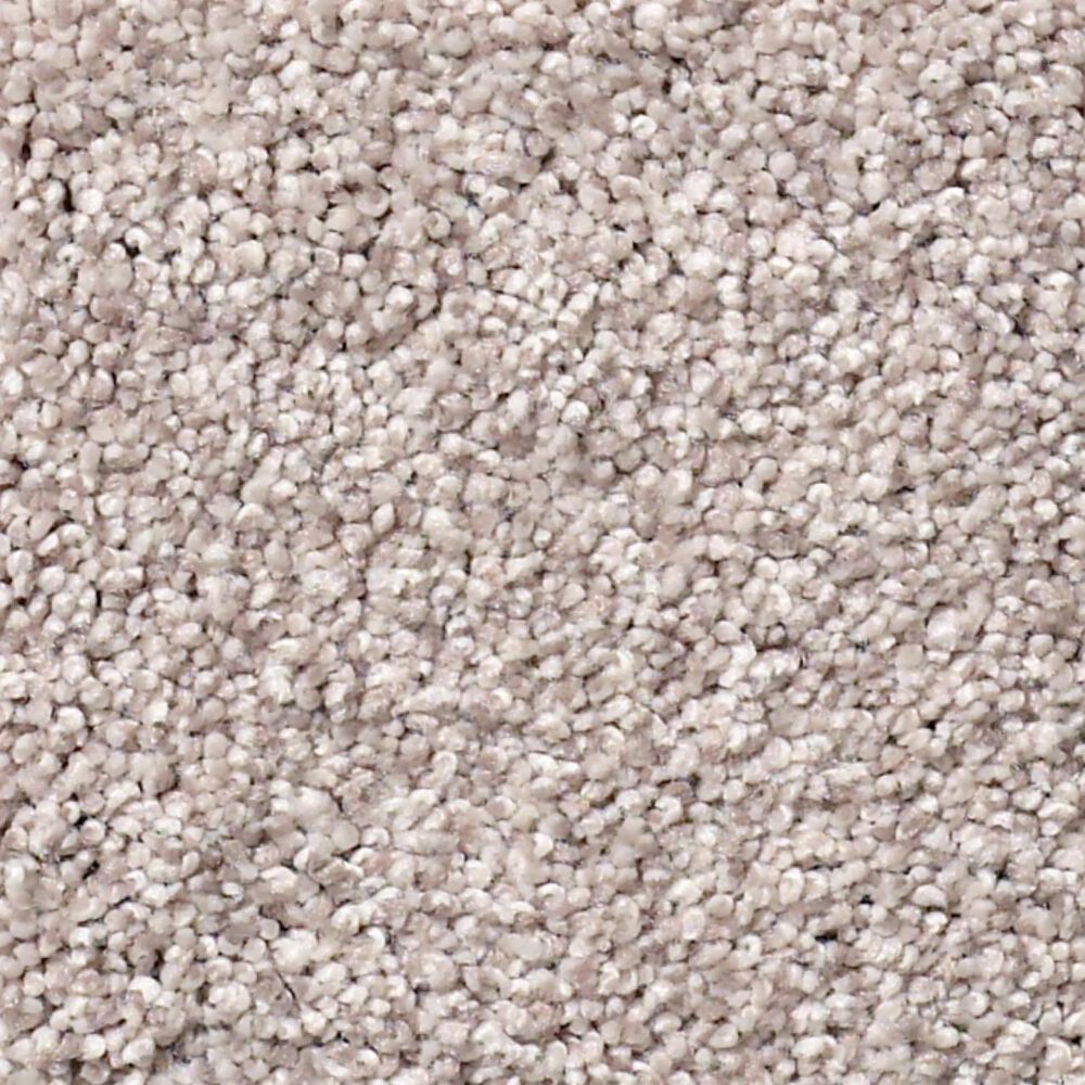 Shaw Find Your Comfort TT I Carpet in Evening in Paris, , large