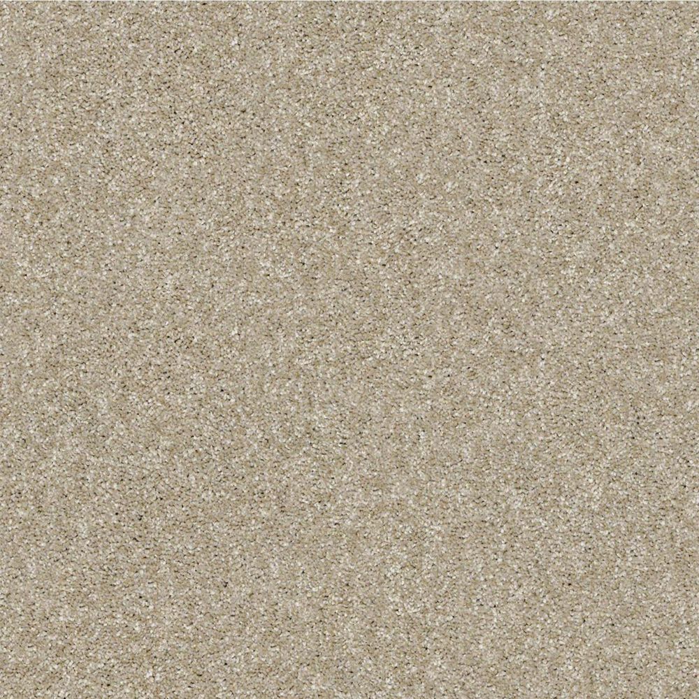 Shaw Making The Rules II 15" Carpet in Sepia, , large