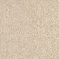 Revolution Mills Magic Moment II Carpet in Coastal, , large