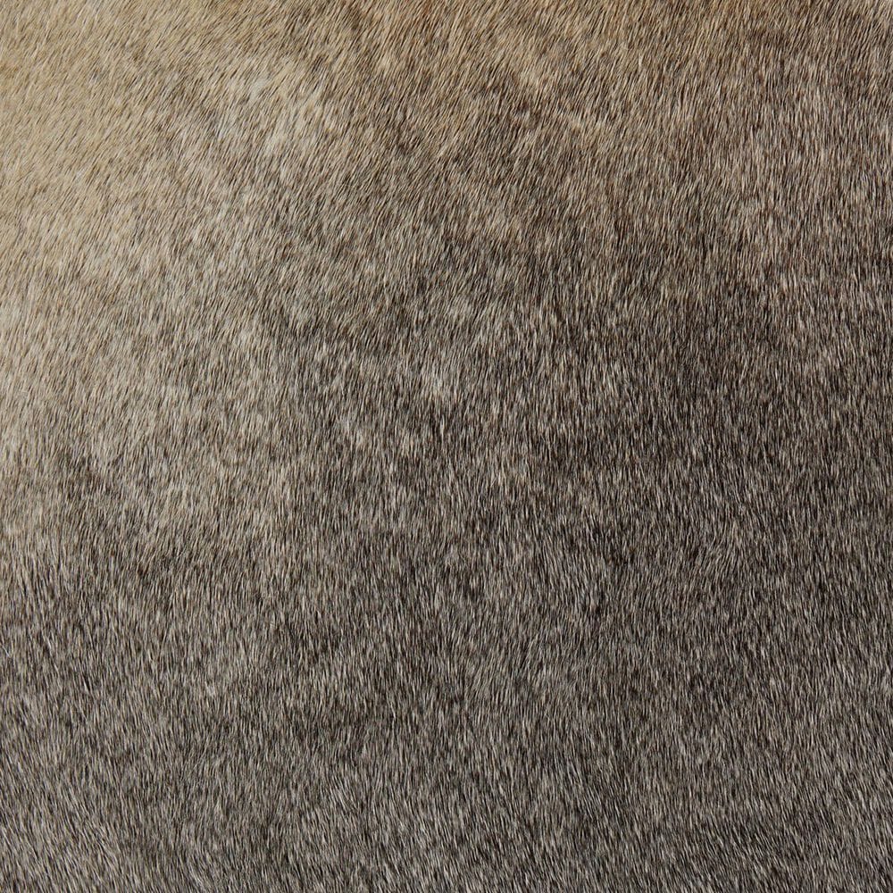 Four Hands Nocona Bar Stool with Black and White Speckled Hide Leather in Gunmetal, , large