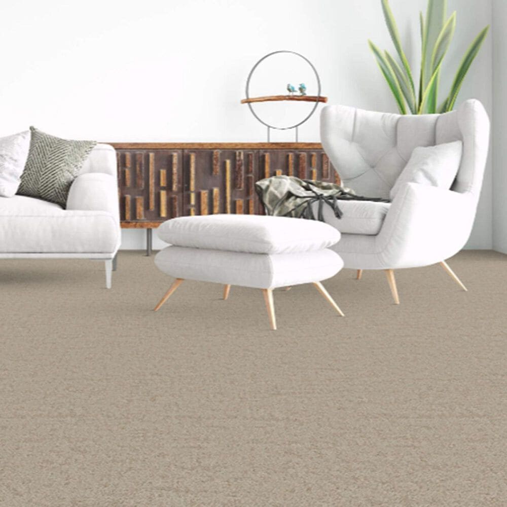 Dixie Home Genuine Carpet in Probable, , large