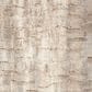 Nourison Dreamy Shag 5"3" x 7"3" Ivory and Beige Area Rug, , large