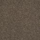 Shaw Del Morro Carpet in Shadow, , large