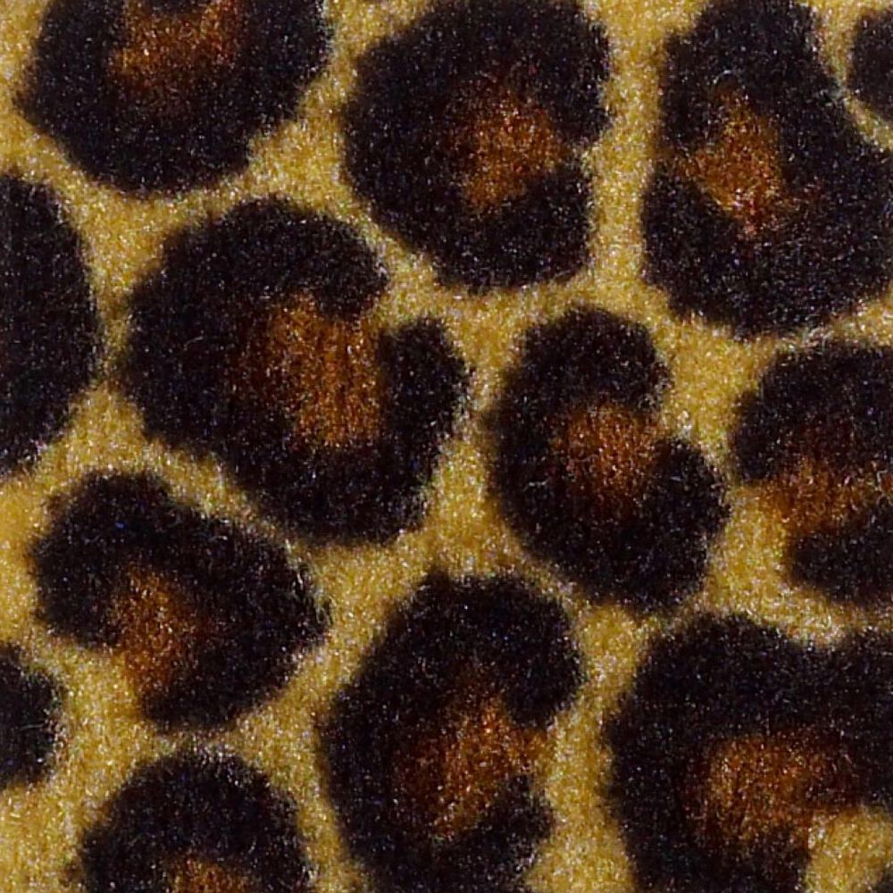 Philadelphia Call of the Wild Cheetah Carpet in Keep The Pace, , large