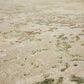 Karastan Memento Reflection 10" x 14" Beige Area Rug, , large