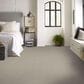 Shaw Your Comfort I Carpet in Back Patio, , large