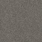 Dream Weaver Gamechanger Carpet in Graphite, , large