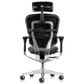 Raynor Group Ergohuman High Back Leather Executive Chair in Black, , large
