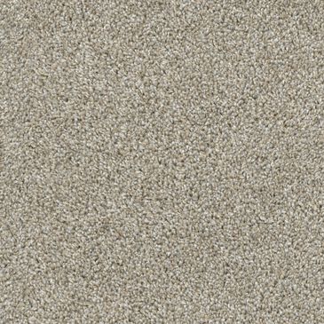 Dixie Home Outlast Carpet in Opal, , large
