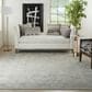 Nourison Infinite 7"10" x 10"4" Light Grey Area Rug, , large