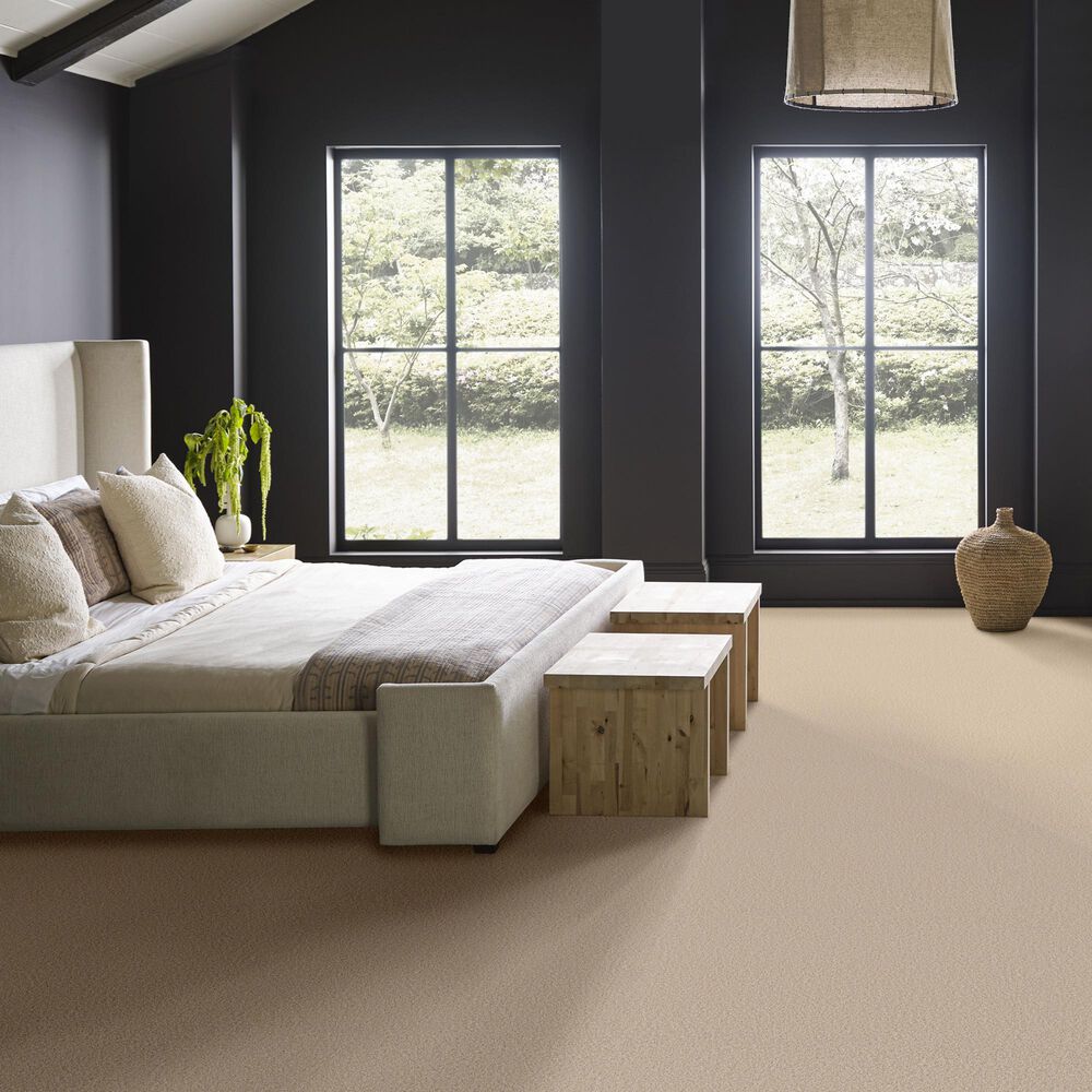 Anderson Tuftex Wyndham Estate Carpet in Windswept, , large