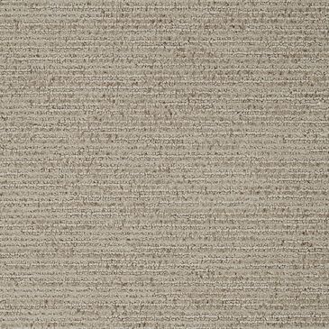 Dixie Home Worthington Carpet in Burnish, , large
