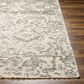 Surya Amina 2" x 3" Beige and Ivory Area Rug, , large