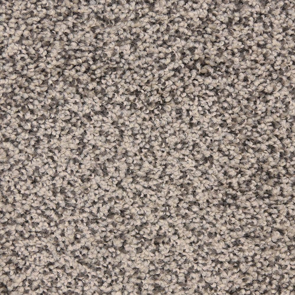 Dixie Home Debut Carpet in Black Sand, , large