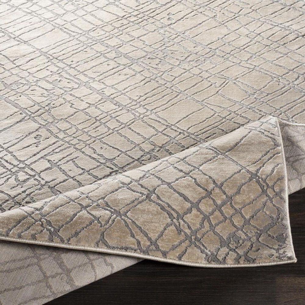 Surya Tibetan TBT-2314 7&#39;10&quot; x 10&#39;3&quot; Gray, Cream and Taupe Area Rug, , large