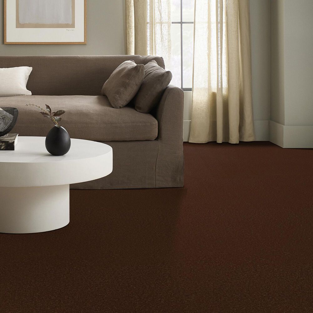 Anderson Tuftex Enchanting Carpet in Cinnabar, , large