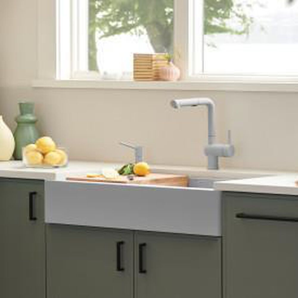 Blanco Linus 1.5 GPM Low-Arc Pull-Out Kitchen Faucet in ...