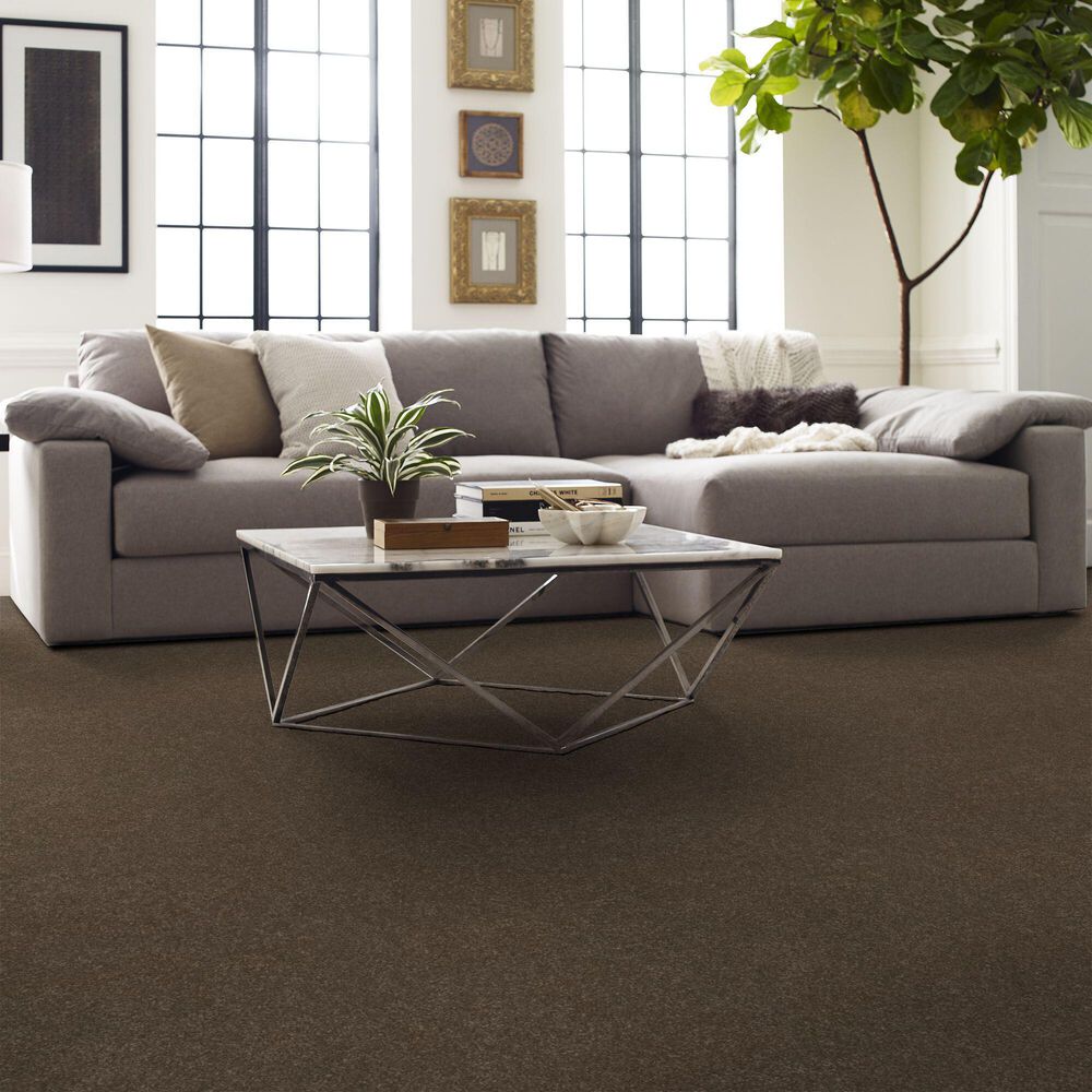 Shaw Hard At Play I Carpet in Mission Ridge, , large