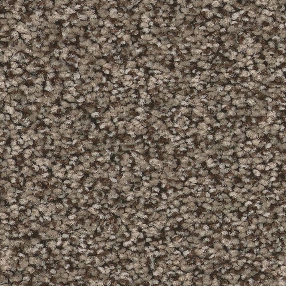 Anderson Tuftex Avalon Bay Carpet in Smokehouse, , large