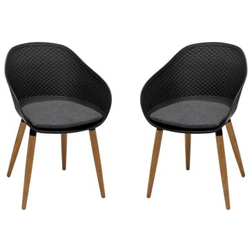 Blue River Ipanema Patio Dining Chair in Dark Gray/Teak (Set of 2), , large