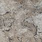 Kane Eden Brook Carpet in Champion, , large