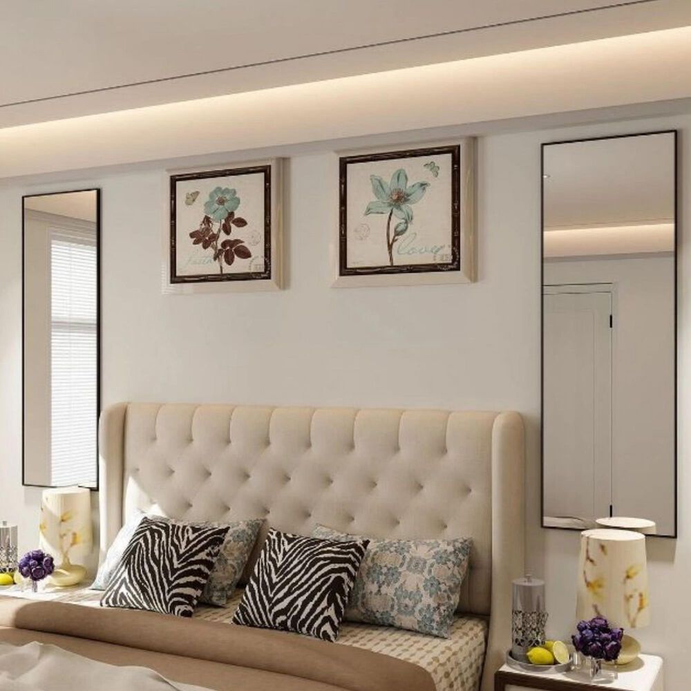 HOMLUX 16" x 50" Door Wall Mount Mirror in Black, , large