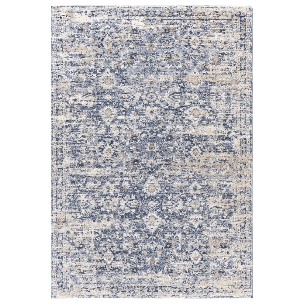 Surya Tuscany Transitional 6"7" x 9"6" Blue, Beige and Gray Area Rug, , large