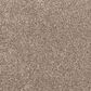 Mohawk Bold Creation Carpet in Southwest, , large